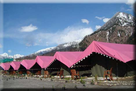 Solang Valley-Camp Share